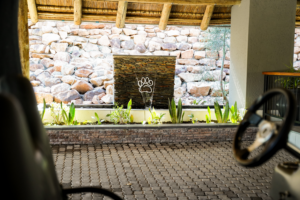 leopard-sands-arrival-area-1
